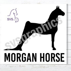 Morgan Horse Custom Car, Truck, Horse Trailer, Tack Trunk, Laptop Vinyl Decal
