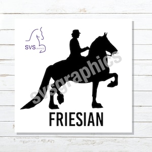Friesian Horse Saddleseat Custom Car, Truck, Horse Trailer, Tack Trunk, Laptop Vinyl Decal