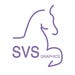 svsgraphics