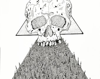 Skull Drawing