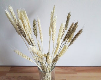 Tall Dried Flowers For Vase Long Stem Dried Flower Bouquet Etsy