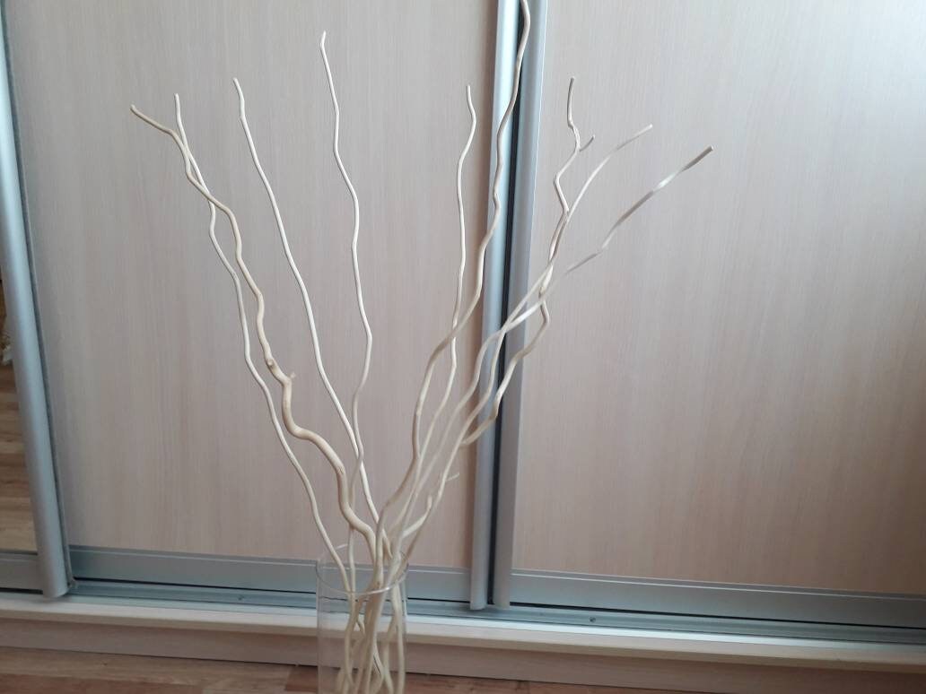 Dried decorative branches for vase Scandinavian decor Tall