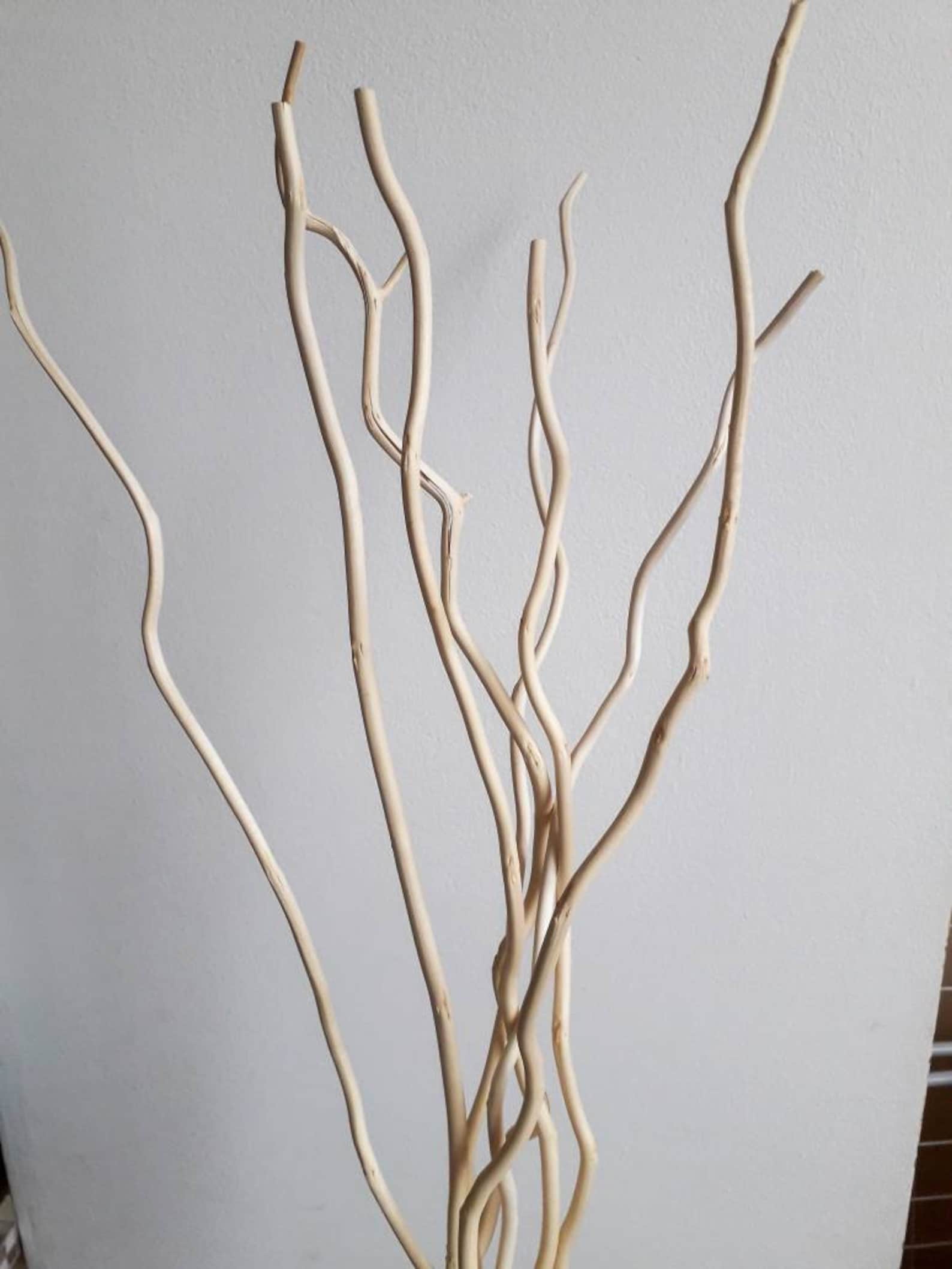 ≫ Ramas Decorativas Secas > Comprar, Precio y Opinión 2024