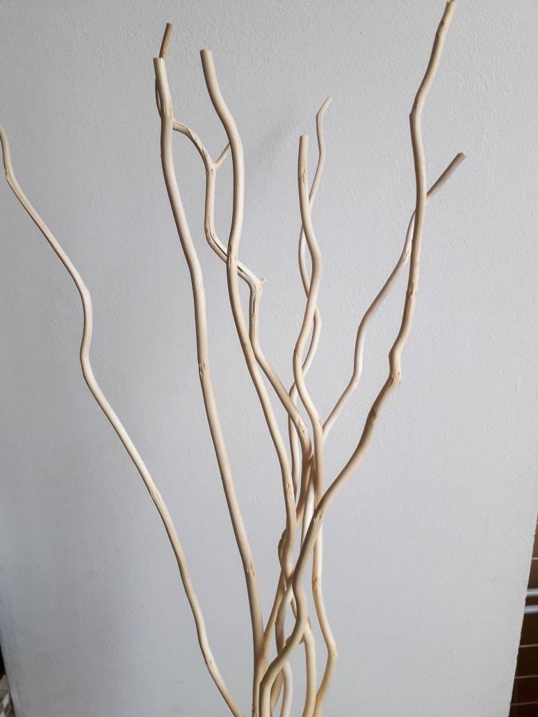 Dried decorative branches for vase Scandinavian decor Tall