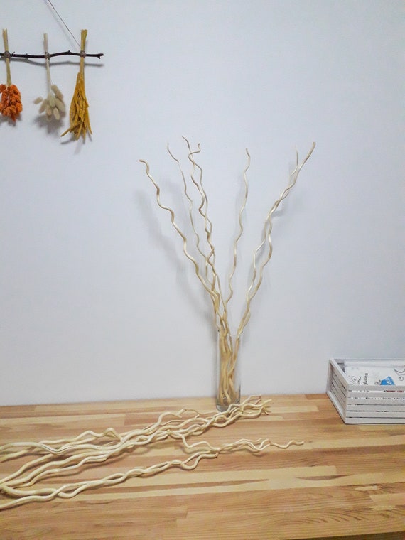 Dried Branches For Vase Scandinavian Decor Tall Vase Filler Etsy