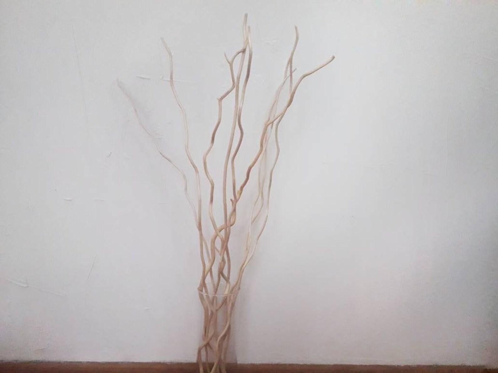 Dried decorative branches for vase Scandinavian decor Tall