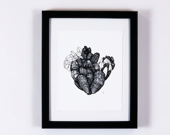 Mussels illustration, aquatic life print, gallery wall art, heart anatomy, nature decor, vintage wall art | Sea/Ocean Collection