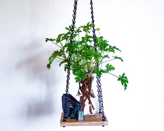 Natural & Black Hanging Plant Shelf | Window plant hanger, wood and chain hanging planter, air plant holder - 6" x 6" or 8" x 8"
