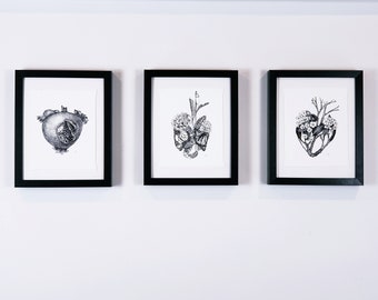 Heart anatomy, gallery wall art, vintage inspired nature drawings, 3 piece wall art, maximalist cottagecore | Flora & Fauna Collection #3