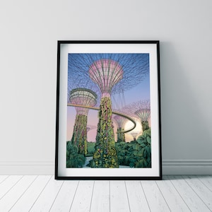 Singapore Supertrees Print/ Gardens by the bay/ Singapore Botanical Gardens Kunstdruck