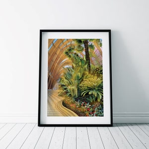 Sheffield Winter Garden Print - Day / Botanischer Garten Poster / Greenhouse Print / Sheffield Wall Art / Goldene Stunde