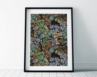 Woodland Botanicals Print/ Northumberland Plant Print/ Forest Wall Art/ Fungi print/ Nature poster