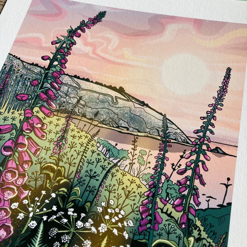 Coastal Wildflowers Print/ Cornwall Coastline Illustration/ Summer Seaside Evening/ Fern and foxglove print image 4