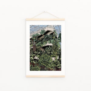 May include: A black and white illustration of a building with a glass roof and many plants growing inside. The plants are drawn in detail and create a lush, tropical feel.