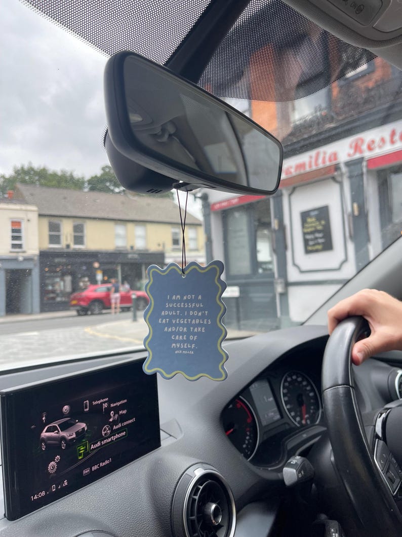 Op de afbeelding: Een lichtblauwe, golvende auto-luchtverfrisser met de tekst "I AM NOT A SUCCESSFUL ADULT. I DON'T EAT VEGETABLES AND/OR TAKE CARE OF MYSELF." hangt aan de achteruitkijkspiegel van een auto. Het dashboard en een deel van het stuurwiel van de auto zijn zichtbaar.