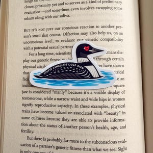 May include: A sticker depicting a cartoon loon with the words "STUPID CANADIAN WOLF BIRD". The loon is black and white with a red heart on its chest, set against a blue water background.