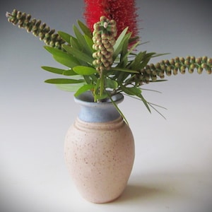 May include: A small, speckled, light pink ceramic vase with a blue rim, holding a bouquet of green bottlebrush flowers.