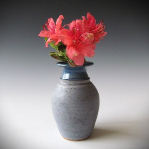 May include: A small, handmade ceramic vase in shades of blue and gray, holding vibrant red-orange flowers. The vase has a narrow neck and a wider base, with a contrasting dark blue rim. The flowers add a pop of color against the muted tones of the vase.