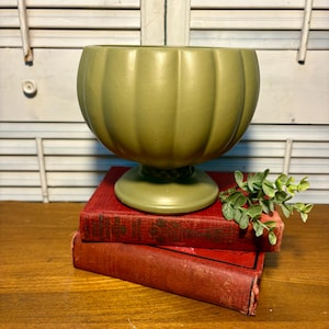 May include: A light green, ribbed ceramic planter with a pedestal base sits atop two antique red books. A small sprig of green foliage rests on the books, adding a touch of nature to the composition. The background features a white shutter.