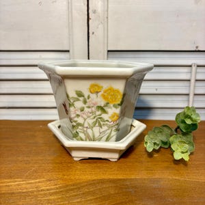 May include: A hexagonal off-white ceramic planter with a matching saucer, featuring a botanical illustration of yellow roses, green leaves, and a small butterfly on the exterior surface. The planter has a wide rim and a tapered base design.