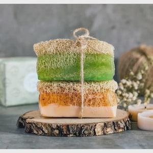 Handmade Honey Aloe Vera Loofah Soap Set: Natural Exfoliating Skincare