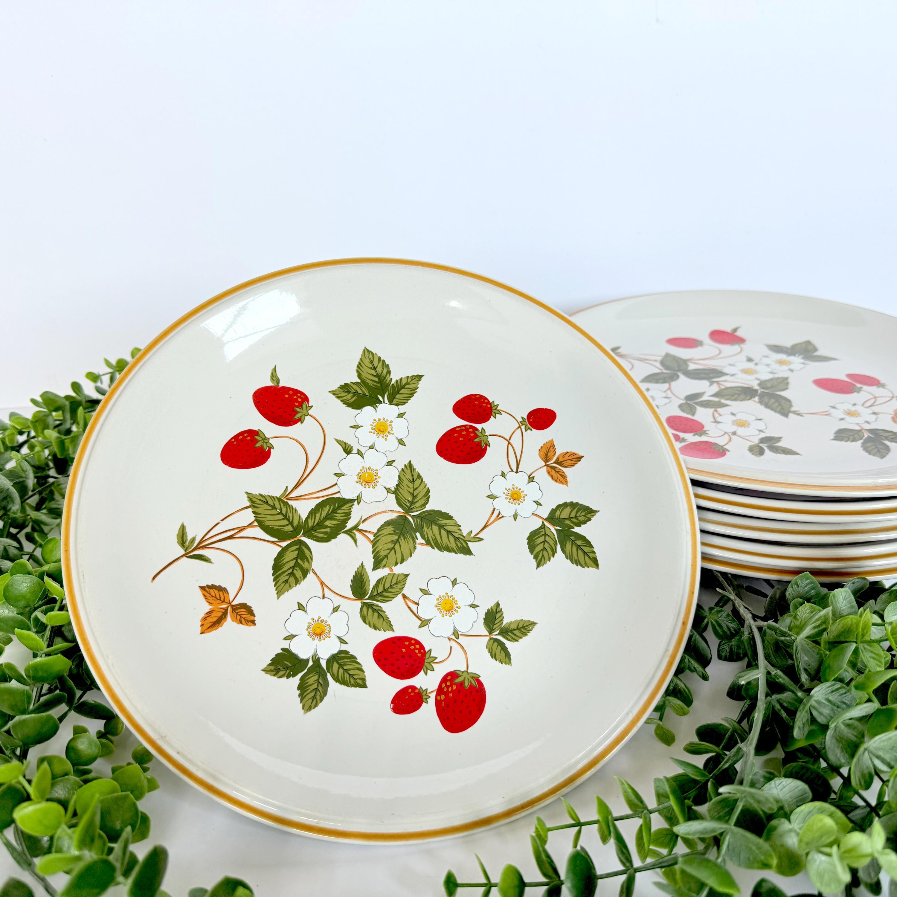 Kitchen Dinnerware Strawberry Street Dinner Plates Strawberry
