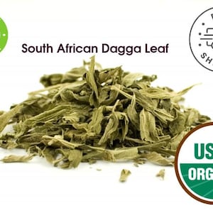 Organic Wild Dagga Leaf South Africa Leonotis Nepetifolia Wholesale Dagga 8 oz - 5 lbs