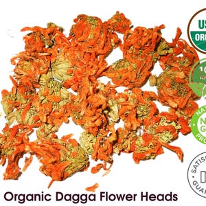 Dagga Flowers Leonotis Nepetifolia Organic, Premium Dagga Buds Wholesale Pricing 4oz, 8oz 16 oz