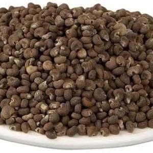 Musk Seed Ambrette Seed Natural Vegan Organic Musk Abelmoschus Moschatus Whole seeds Mushk Dana - Musk Dana - Ambrette Seed
