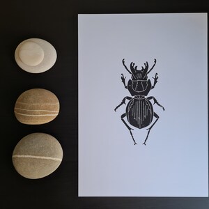 LINOPRINT Stag Beetle &quot;Lucanus cervus&quot; || A5 || Handmade Original Wall Art || Zoological Illustration || Insect