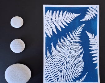 Cianotipia original "Helechos 1" // A5 // Arte hecho a mano // Impresión solar // Decoración de pared // Tablero de inspiración // Espacio de trabajo inspirador // Lámina botánica