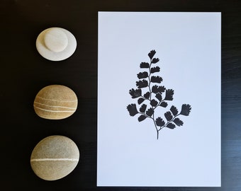 LINOPRINT Maidenhair Farn "Adiantum raddianum" || A4 || Handgemachte Original Wandkunst || Botanische Illustration