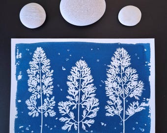 Cianotipia original "Achillea 1" // A5 // Arte hecho a mano // Impresión solar // Decoración de pared // Tablero de inspiración // Espacio de trabajo inspirador // Lámina botánica