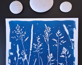 Cianotipia original "Prado 1" // A5 // Arte hecho a mano // Impresión solar // Decoración de pared // Tablero de inspiración // Espacio de trabajo inspirador // Lámina botánica