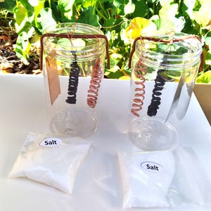 One Cup One Life Mehran Keshe Technology Générateurs de GANS, de plasma et d'acides aminés