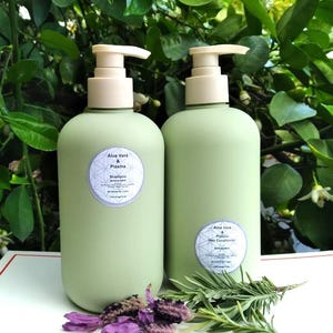 Puede incluir: Dos botellas de plástico verde con tapas de bomba. Las botellas están etiquetadas con "Aloe Vera & Plasma Shampoo Antioxidant" y "Aloe Vera & Plasma Hair Conditioner Antioxidant".