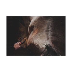 Western Horse Grooming Art Poster, Pferdewanddekor, Rustikale Bauernhauswandkunst, Pferdeliebhaber Geschenk, Haus- und Bürodekoration