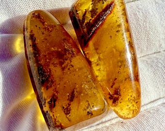 Natural Baltic Amber Pieces Set of Two Jewelry Making Supply