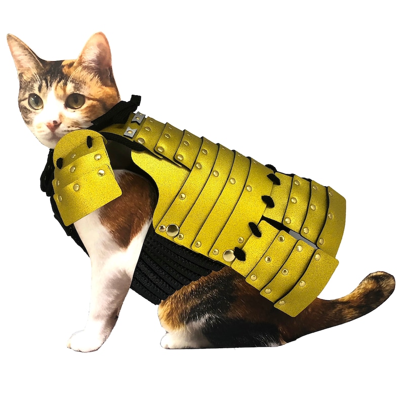 Bold Gold Pet Samurai Armor For Cats... Pet Armor-102 | Etsy