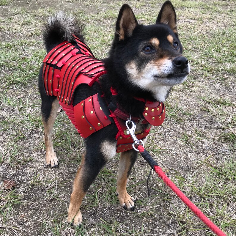 Lucky Dog Red Samurai Armor For Small Dogs DogArmor901 Etsy
