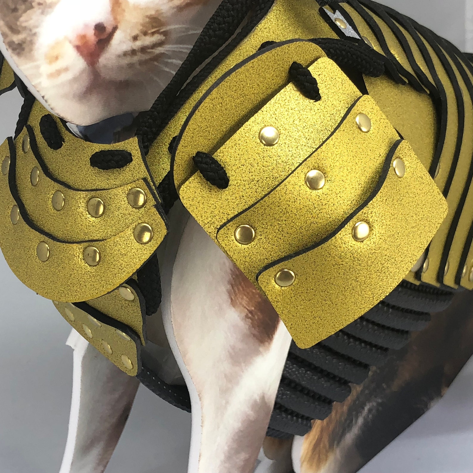 Bold Gold Pet Samurai Armor For Cats... Pet Armor102 Etsy
