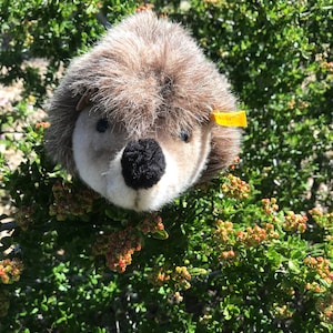 Steiff Hedgehog