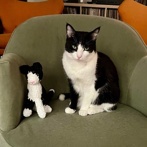 Ritratto di gatto di peluche personalizzato