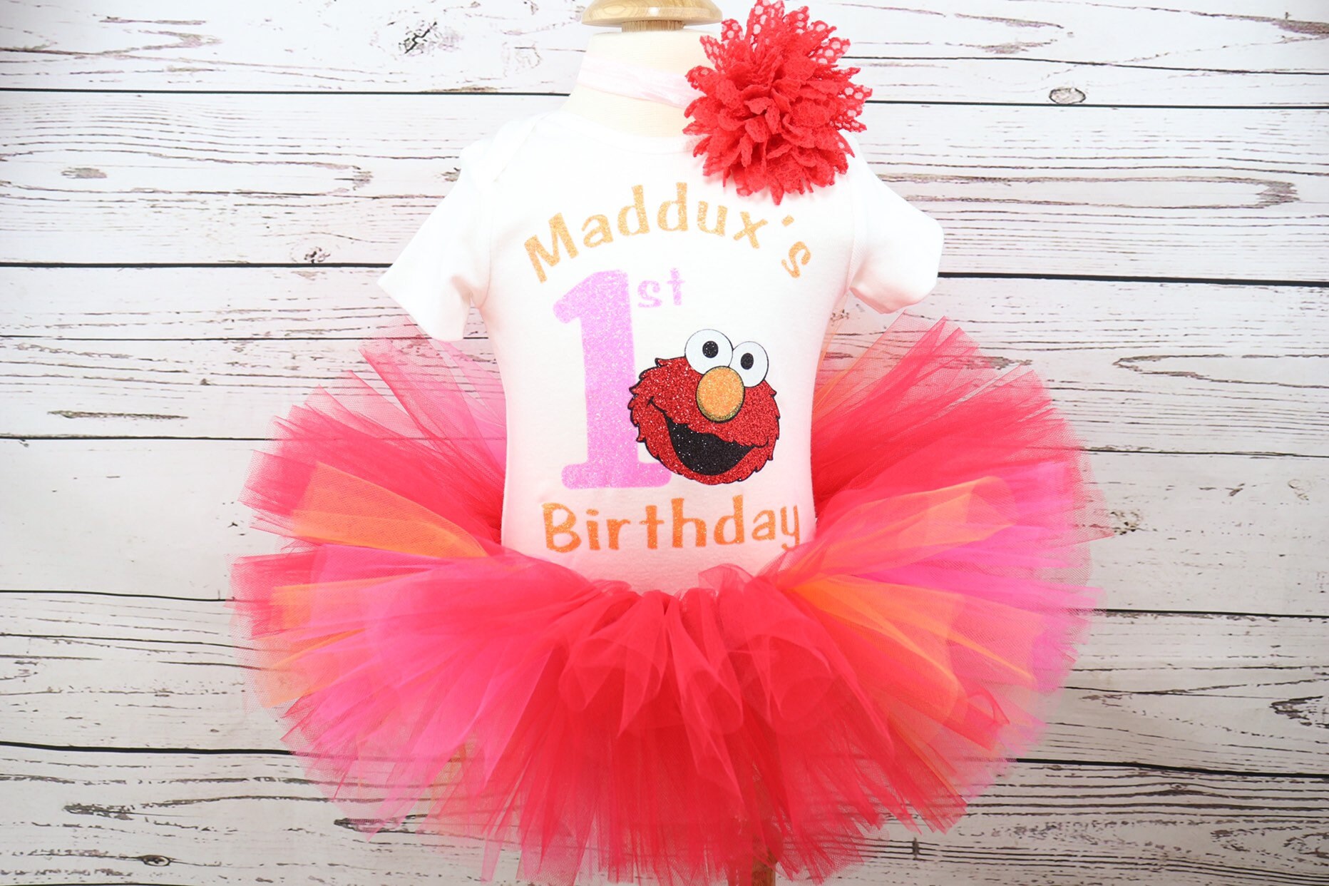 sesame street first birthday outfit girl