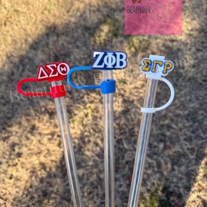 以下が含まれることがあります： カラフルな文字の形をしたトップが付いた透明なプラスチック製のストローが3本。トップは「ΔΣΘ」、「ΖΦΒ」、「ΣΓΡ」と綴られています。