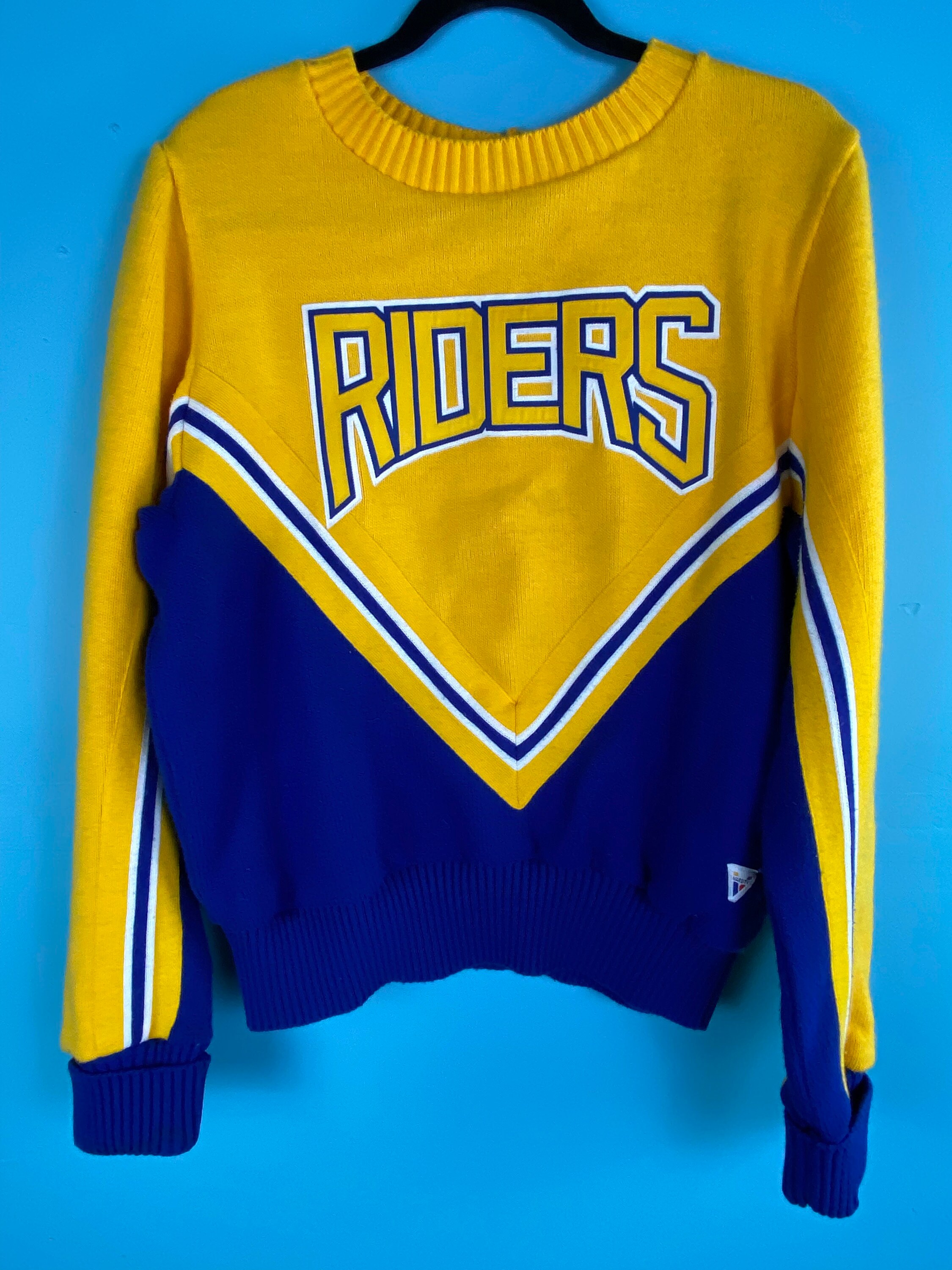 dia de los muertos costume for dogs