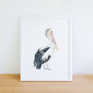 Australian Pelican - Watercolor Art Print Sea Bird Home Decor Nursery Wall Art