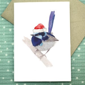 Fairy Wren - Blanko Weihnachtskarte