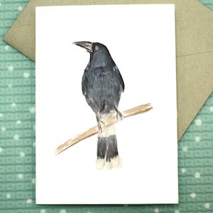 Australian Pied Currawong - Cartão de felicitações em branco
