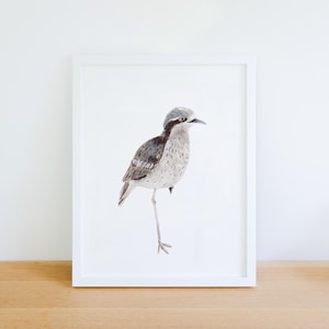 Bush Stone Curlew - Watercolor Art Print Sea Bird Home Decor Nursery Wall Art
